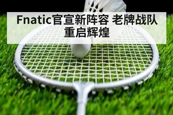 Fnatic官宣新阵容 老牌战队重启辉煌